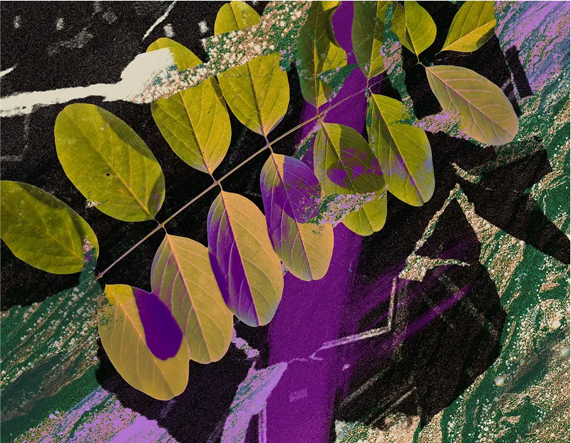 Abstrakte Collage mit einem Rubinienzweig und Ausschnitten von einem Gebäude auf schwarz-weiß