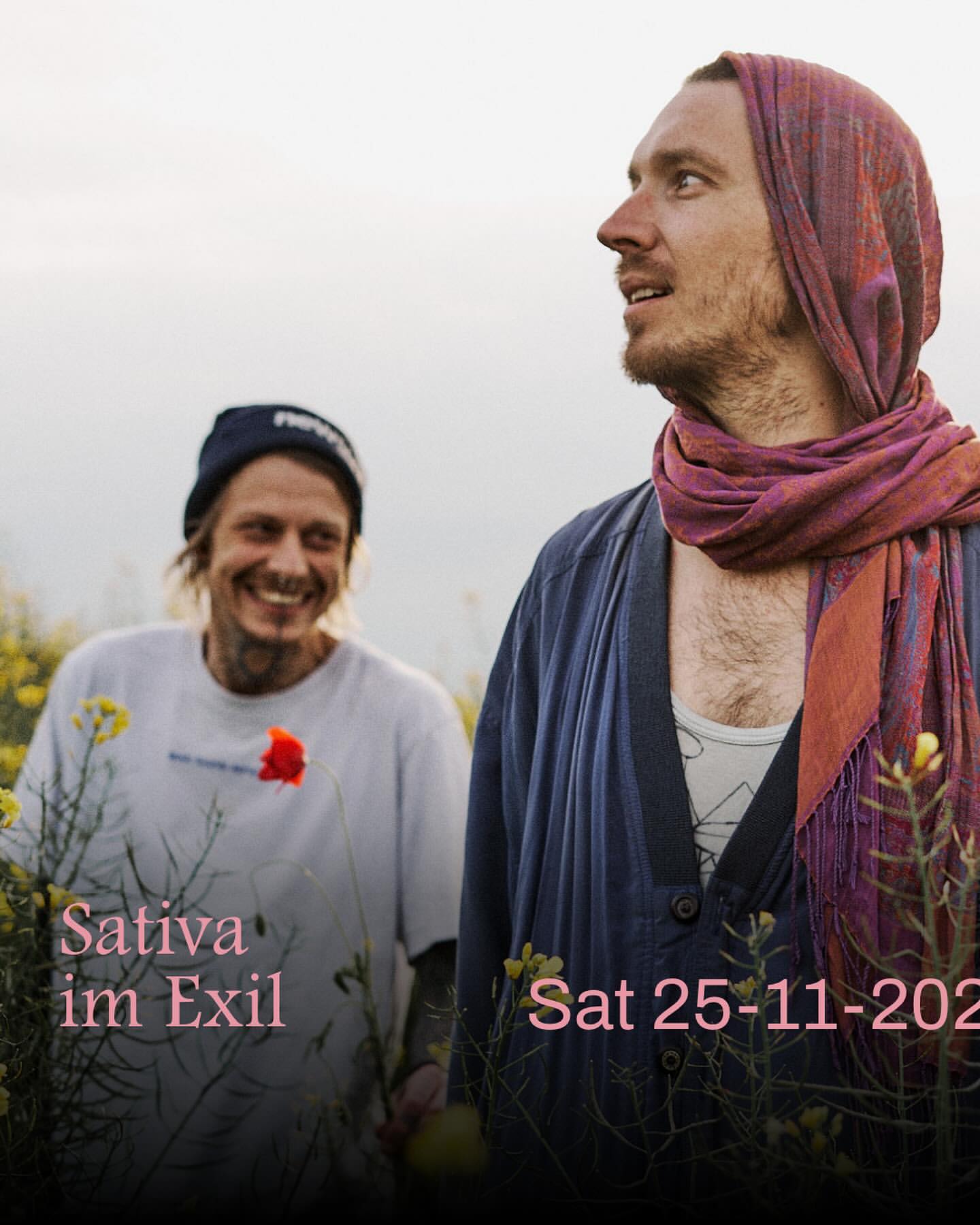 231125 – Sativa im Exil