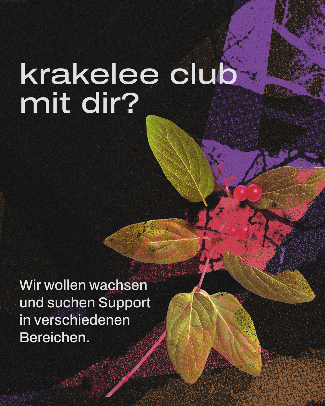 AusschreibungAbout